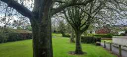 Moorfield Park Footpath 22/11/2022